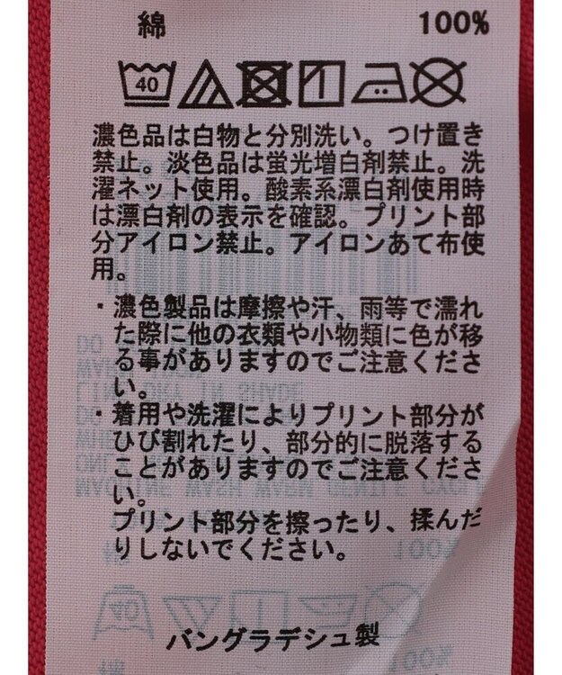 Green Parks フレンチロゴレギュラーＴシャツ Dark Gray