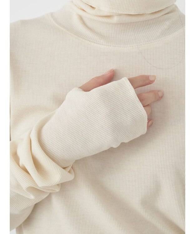 earth music&ecology ＴＲウールブレンドタートルネックプルオーバー Ivory