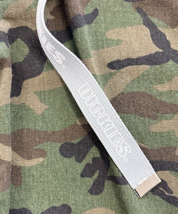 WEGO 【ユニセックス着用ITEM】Dickies　ロゴプリントベルト ライトグレー
