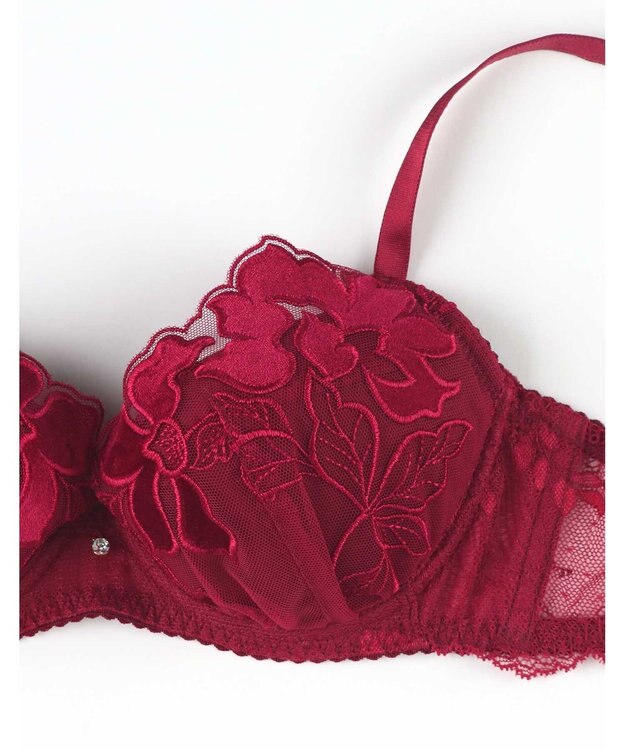 une nana cool 【ベロアのレースが特別感を演出】クリスマスモチーフブラ レッド