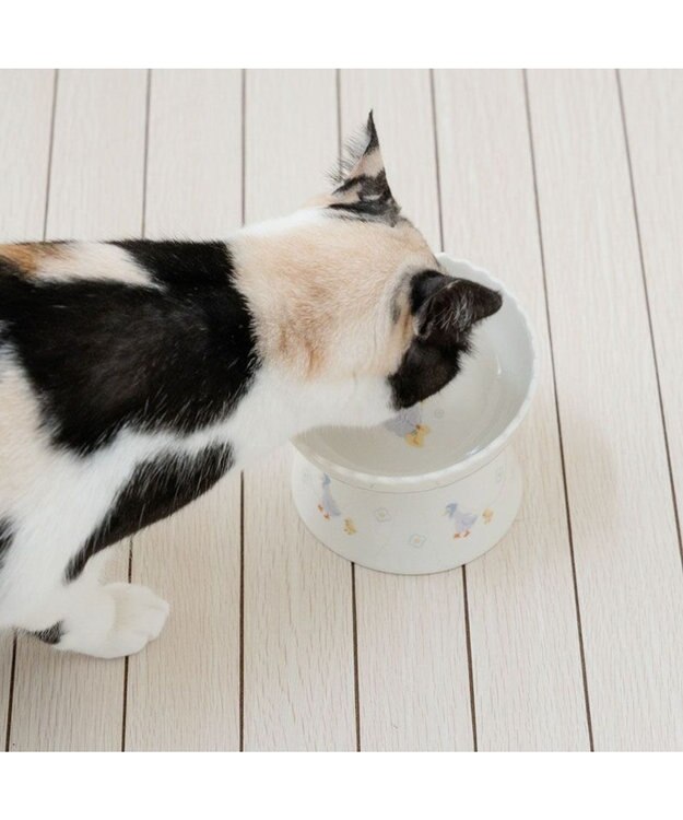 PET PARADISE ペットパラダイス 猫 高さのあるえさ皿 《あひる》 ホワイト