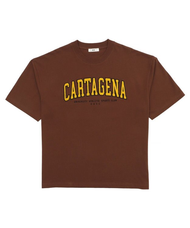 WEGO 【ユニセックス着用アイテム/MLサイズ展開】サガラワッペンロゴBIG　T（SS） ブラウン