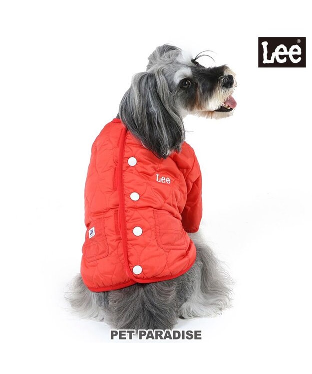 PET PARADISE Lee 背中開き ジャケット 《オレンジ》 小型犬 オレンジ