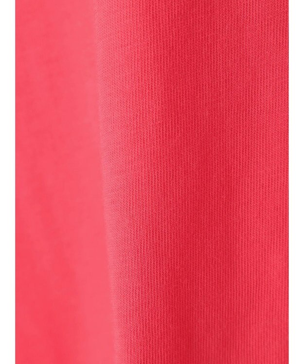 Green Parks フレンチロゴレギュラーＴシャツ Dark Gray