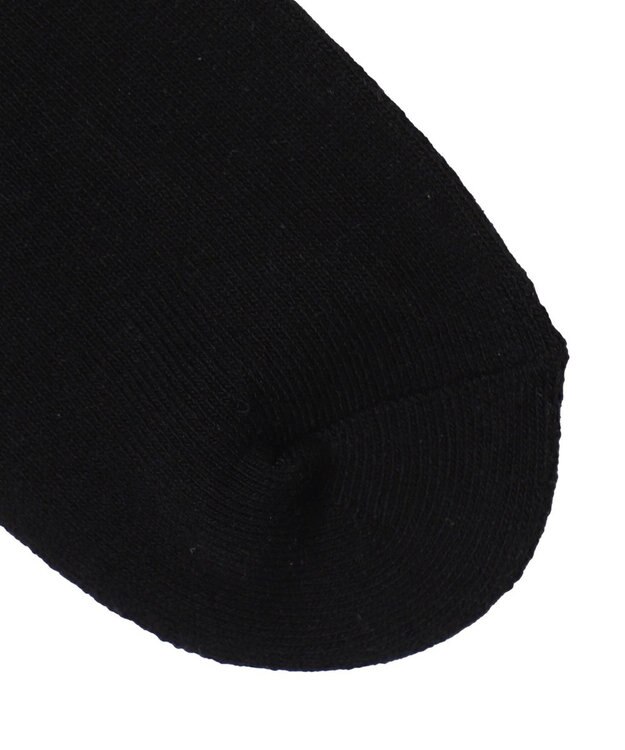 WEGO カラーロゴ刺繍アンクルパイルソックス ブラック