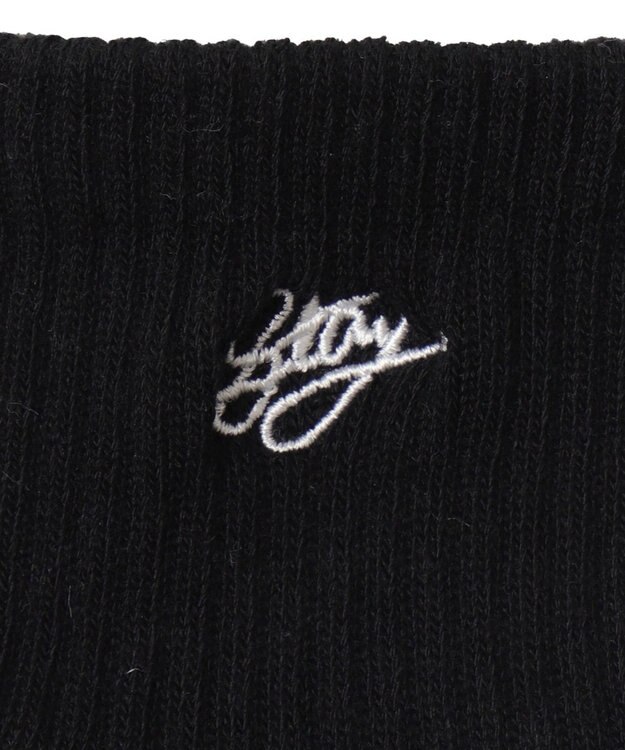 WEGO カラーロゴ刺繍アンクルパイルソックス ブラック