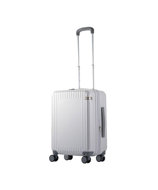 ACE BAGS & LUGGAGE ace. エース パリセイド3-Z 06917 スーツケース ジッパータイプ エキスパンダブル 33~41リットル ホワイトカーボン
