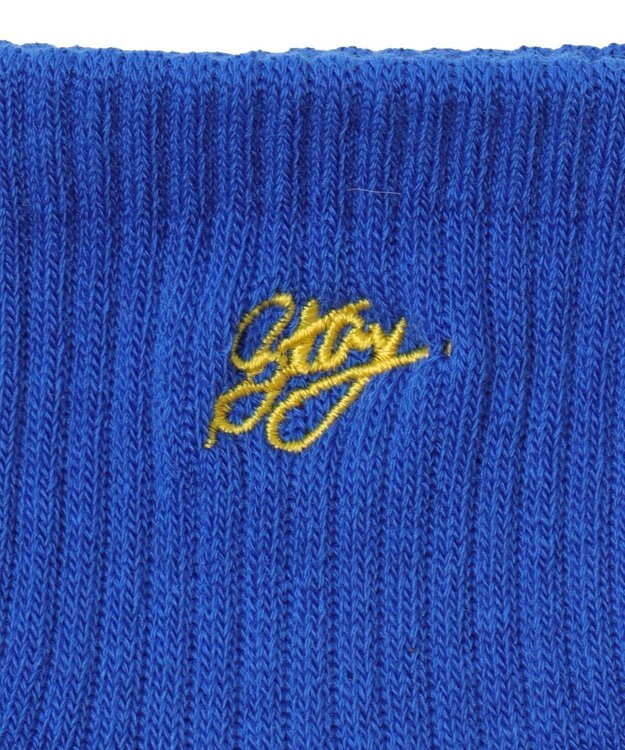 WEGO カラーロゴ刺繍アンクルパイルソックス ブルー