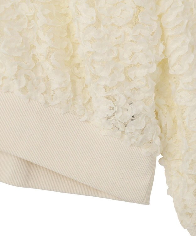 Green Parks フラワー柄チュールブルゾン Ecru