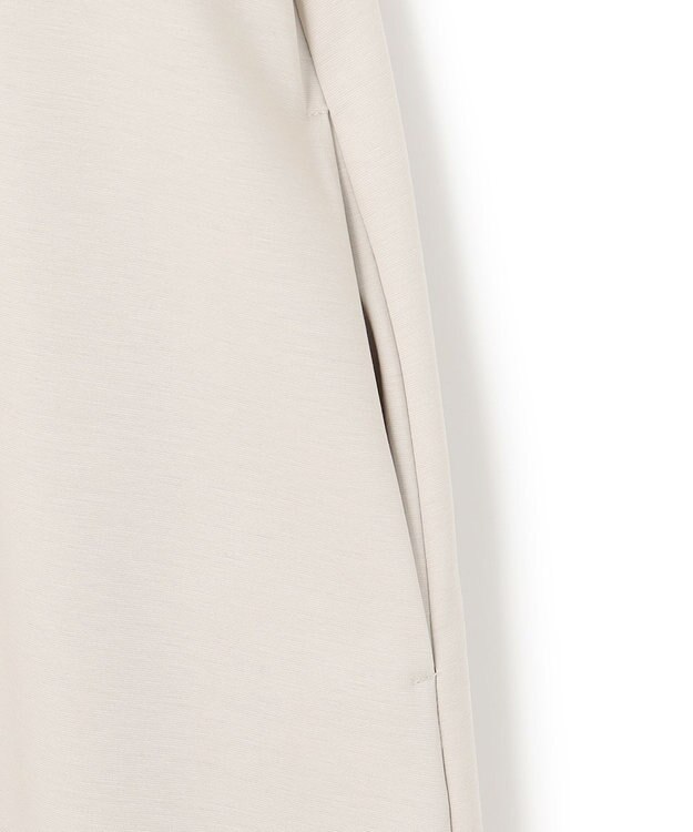 23区 S 【洗える】ストレッチポンチ Aライン ワンピース ライトグレー系