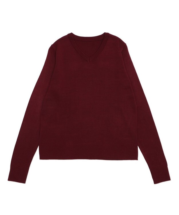 WEGO 【WEB限定/2025年秋冬新作/洗濯OK/毛玉レス/MLXLサイズ展開/オフィス/カジュアル】ベーシックニットセーター ワイン