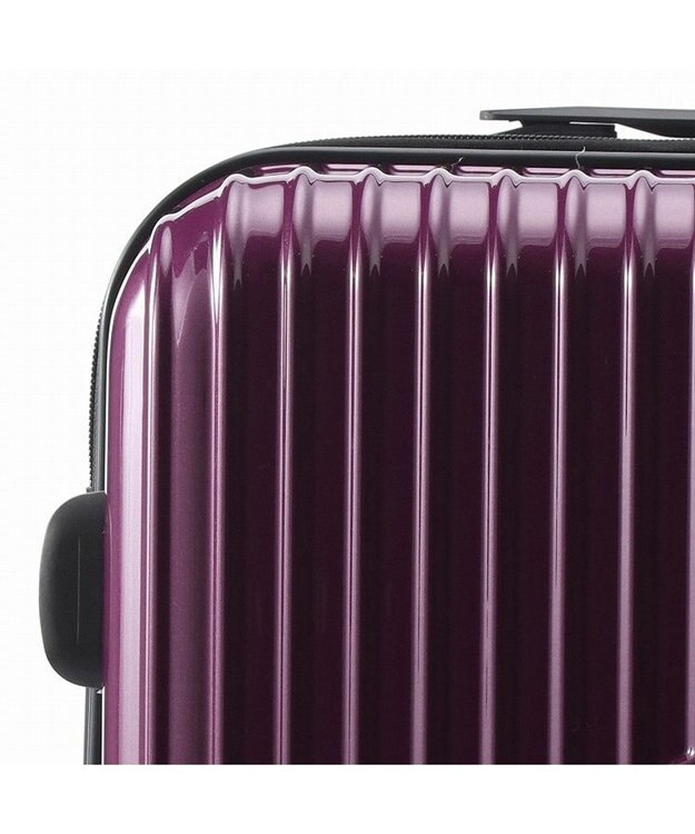 ACE BAGS & LUGGAGE ACE クレスタ スーツケース 5~7泊 64~70Ｌ エキスパンド機能 06317 エース ブラックカーボン