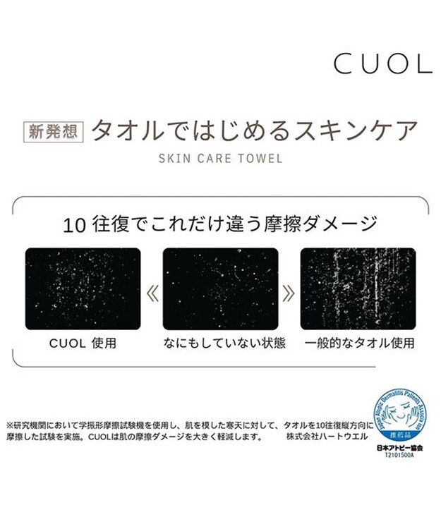 PRESENTERS ROOM CUOL タオルではじめるスキンケア / ウォッシュタオル　ミント×モカ -