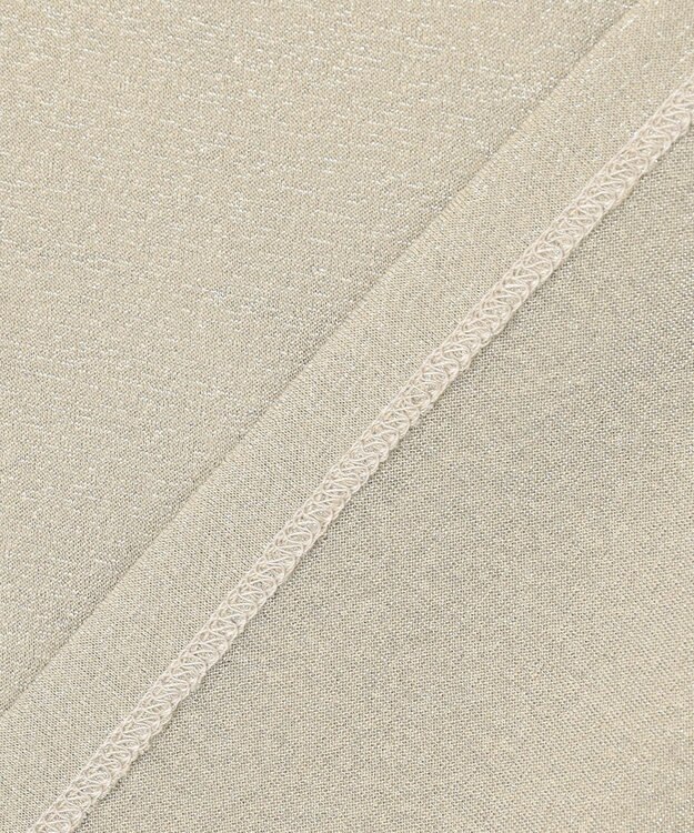 ANY SIS 【洗える】シアーラメ インナー シャンパン