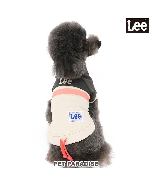 PET PARADISE Ｌｅｅスウェット トレーナー 【小型犬】 グレー グレー