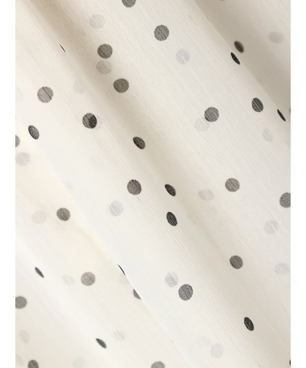 Green Parks AnriettMusee シアーボウタイブラウス Dot