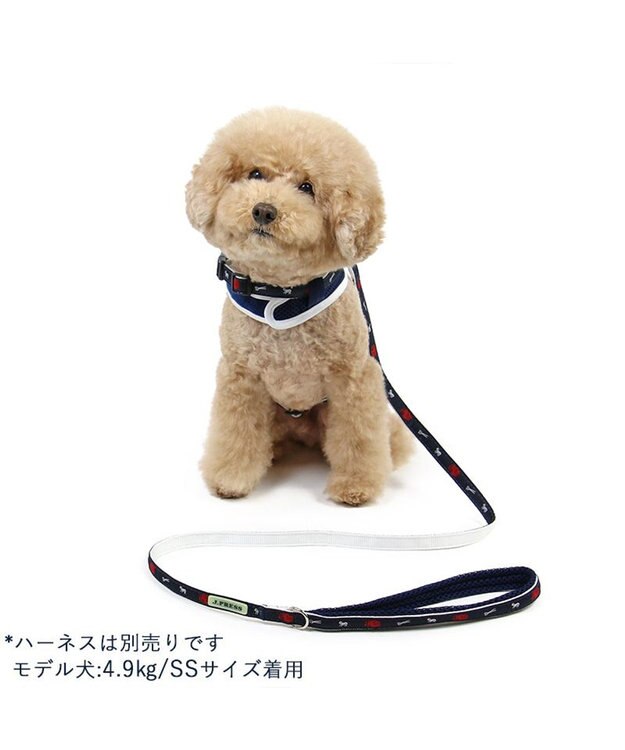 PET PARADISE J.PRESS トリコロール リード 超小型犬 ４Ｓ~３Ｓ -