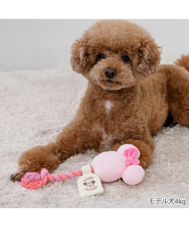 PET PARADISE ディズニー ミニーマウス 風船ロープ トイ 《ピンク》 小型犬 ピンク