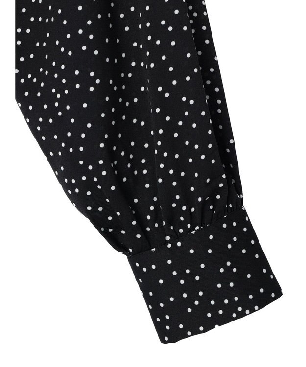 Green Parks ・ＥＬＥＮＣＡＲＥ　ＤＵＥ　ハシゴレースブラウス Dot