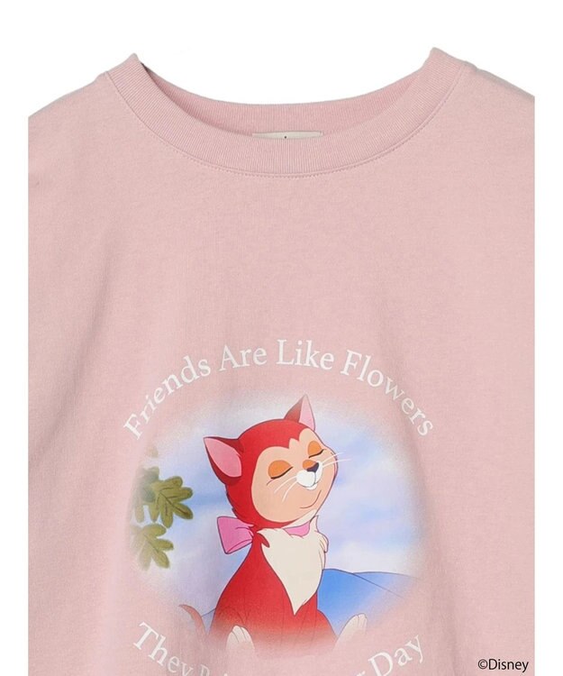 earth music&ecology Ｄｉｓｎｅｙ／フロントダイナロンＴ Pink