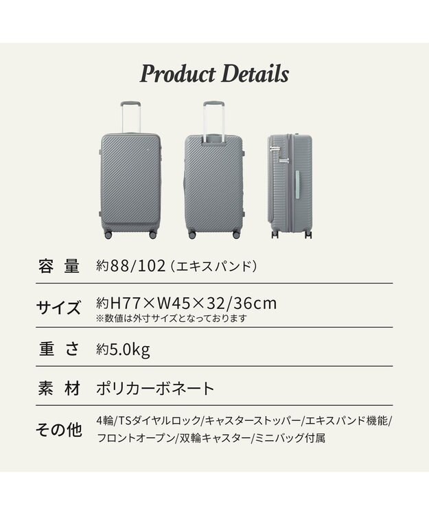 ACE BAGS & LUGGAGE HaNT ココント スーツケース 88/102L エキスパンド 05517 ハント バトゥ・グレー