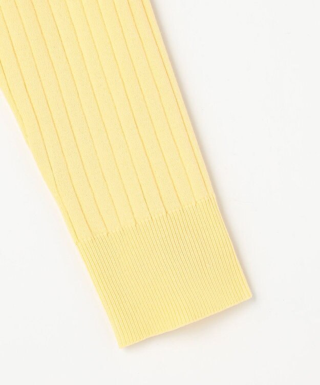 ANY SIS ポロカラーリブ ニット イエロー