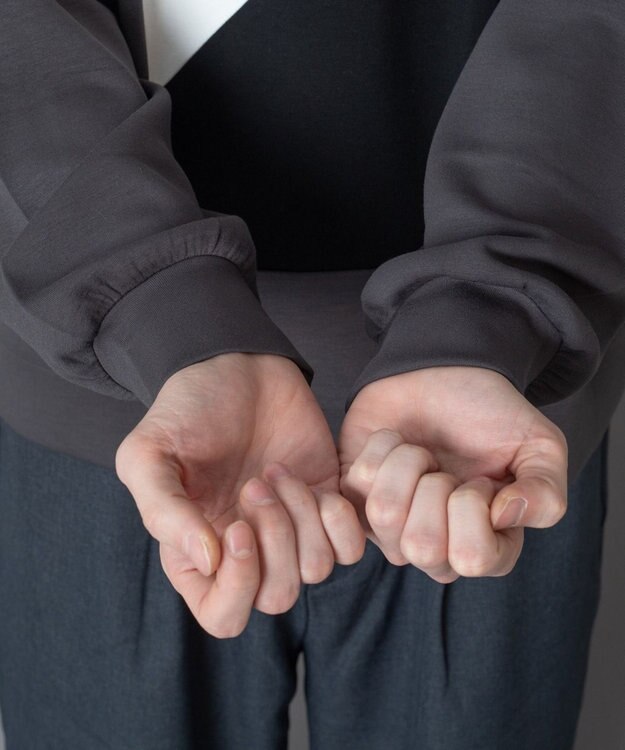 WEGO カラーパネルプルオーバー ブラック中濃色