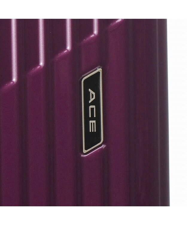 ACE BAGS & LUGGAGE ACE クレスタ スーツケース 5~7泊 64~70Ｌ エキスパンド機能 06317 エース ブラックカーボン