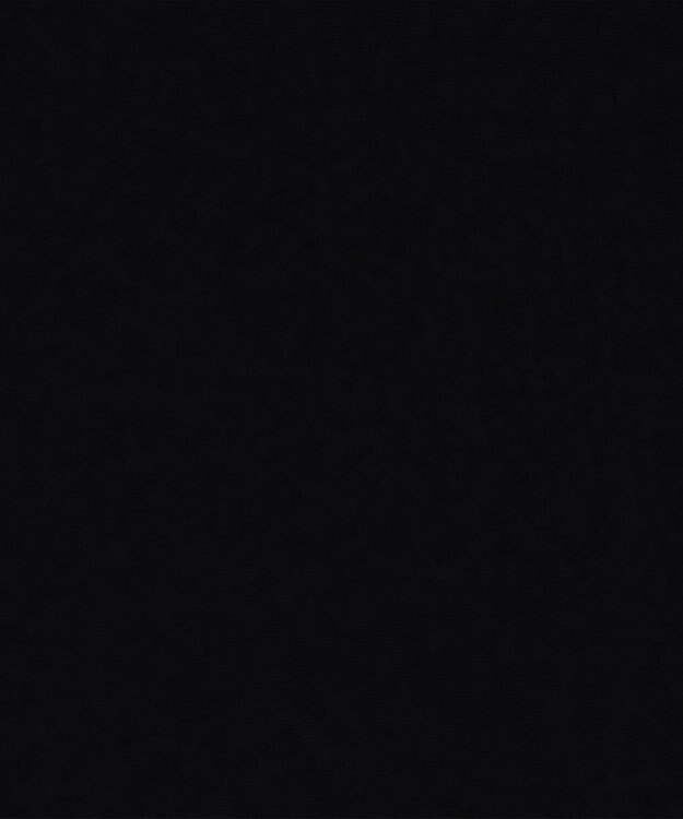 JOSEPH 【FOUNDATIONS】クレープ ド ソワ　シルクTシャツ NEW RUBIN Black