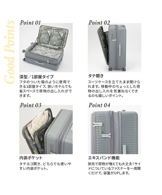 ACE BAGS & LUGGAGE HaNT ココント スーツケース 88/102L エキスパンド 05517 ハント バトゥ・グレー