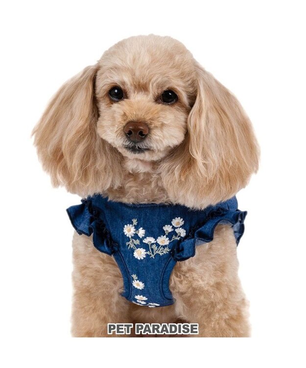 PET PARADISE ペットパラダイス デニムフリルハーネス Ｓ ネイビー