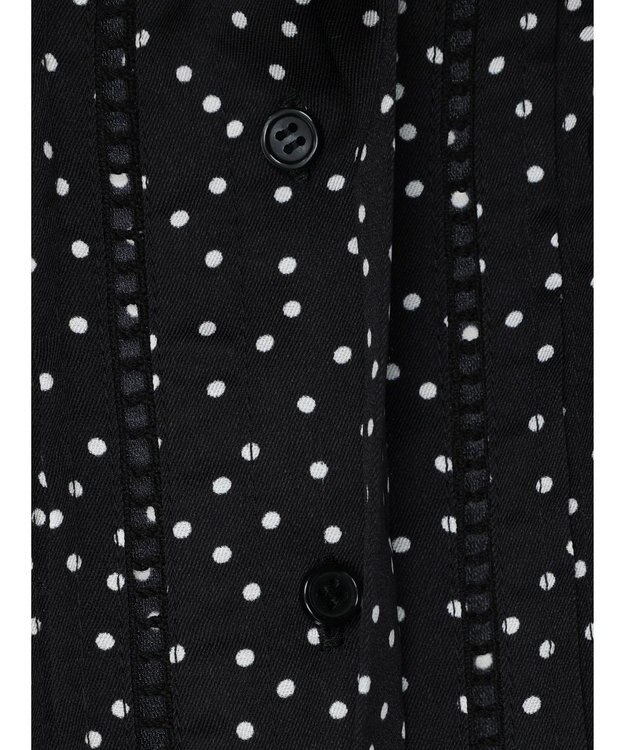 Green Parks ・ＥＬＥＮＣＡＲＥ　ＤＵＥ　ハシゴレースブラウス Dot