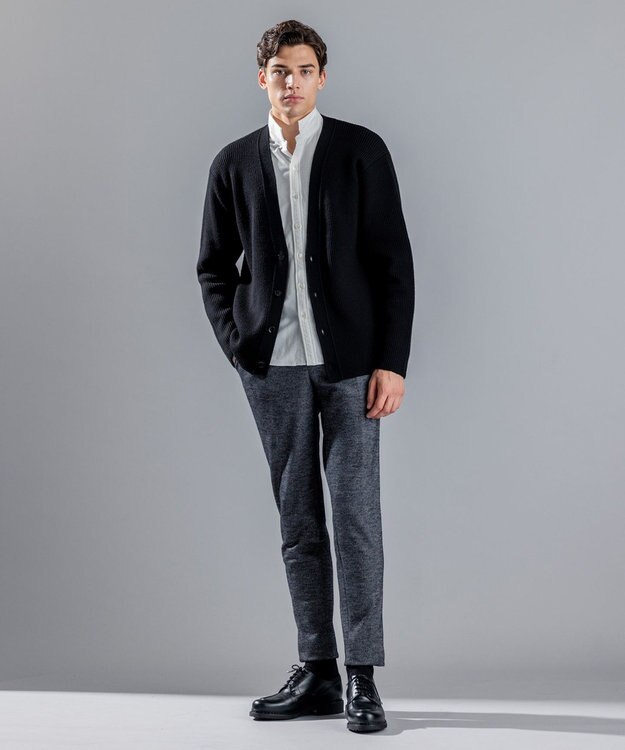 JOSEPH HOMME ドビージャージー / PEGG CONVERTIBLE ライトグレー系