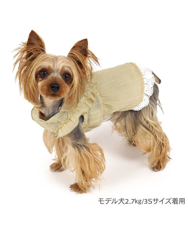PET PARADISE ペットパラダイス スプリング ワンピース 《イエロー》 超小型犬 小型犬 イエロー