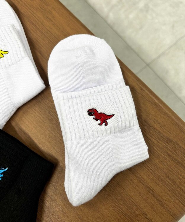 WEGO ダイナソー刺繍アンクルソックス 柄1