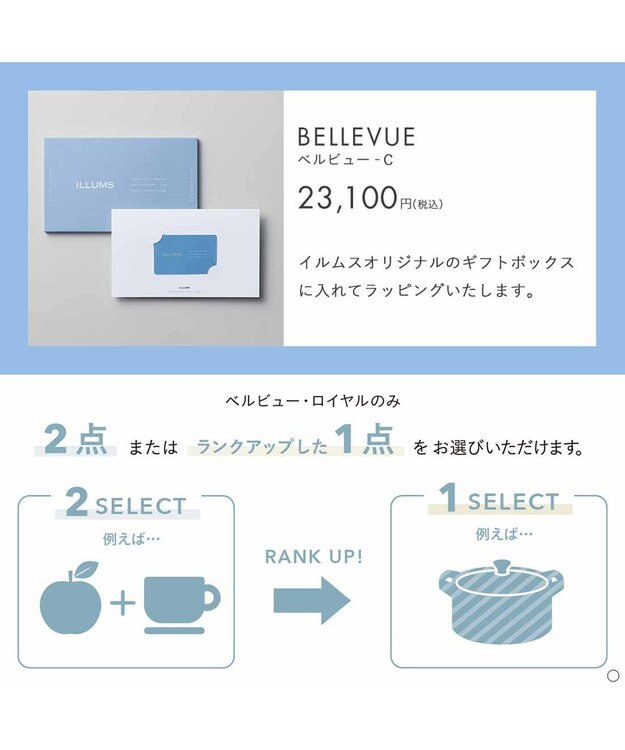 PRESENTERS ROOM ILLUMS(イルムス) e-order choice ＜ベルビュー-C＞ -