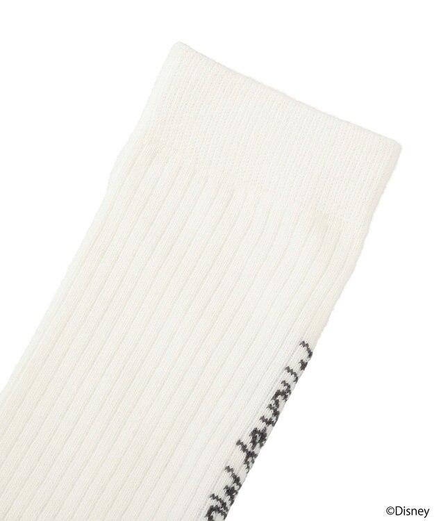 earth music&ecology 【予約】Disney/アソート刺繍入り靴下 チャコールグレー