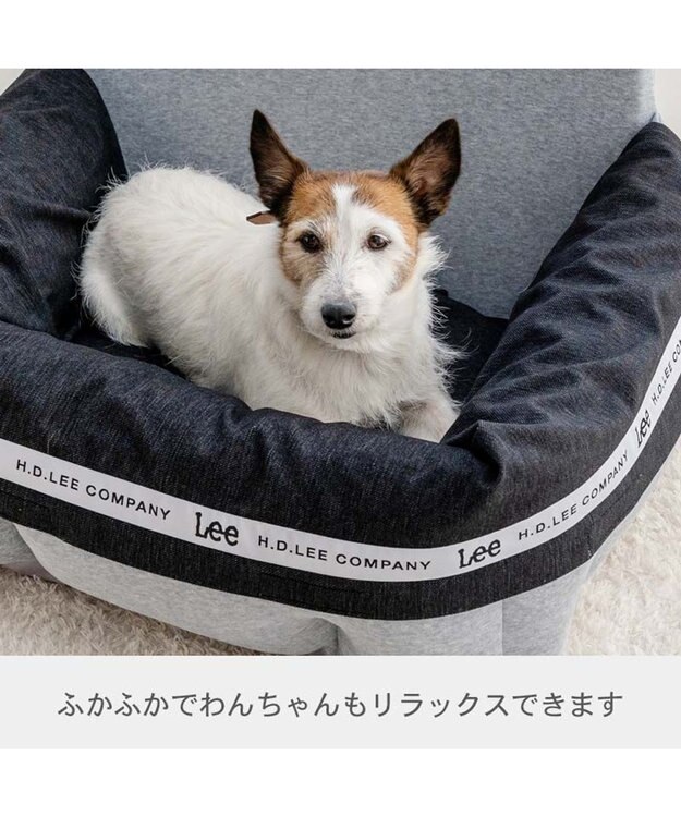 PET PARADISE Lee ドライブカドラー 《ロゴ柄》 Ｌ グレー