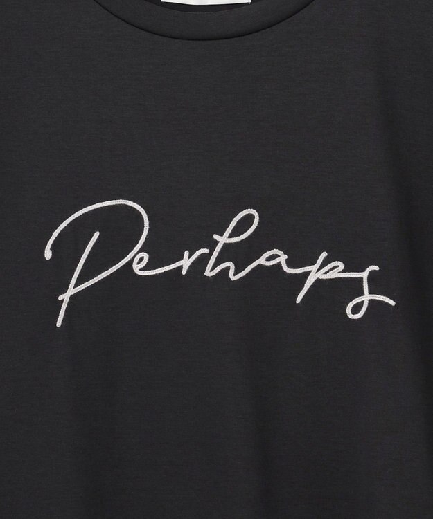 ANY 【汗ジミ防止加工】シルケットスムースフレンチスリーブ刺繍ロゴTシャツ ブラック