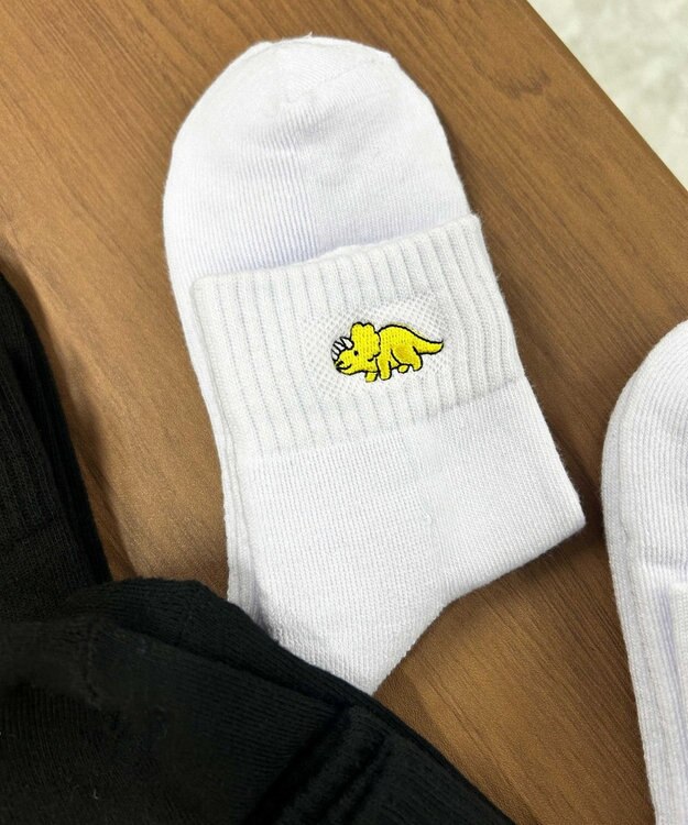 WEGO ダイナソー刺繍アンクルソックス 柄2