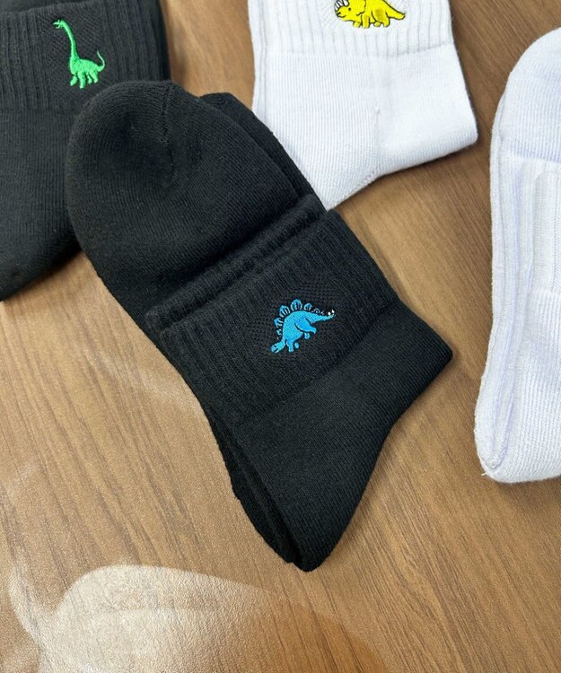 WEGO ダイナソー刺繍アンクルソックス 柄3