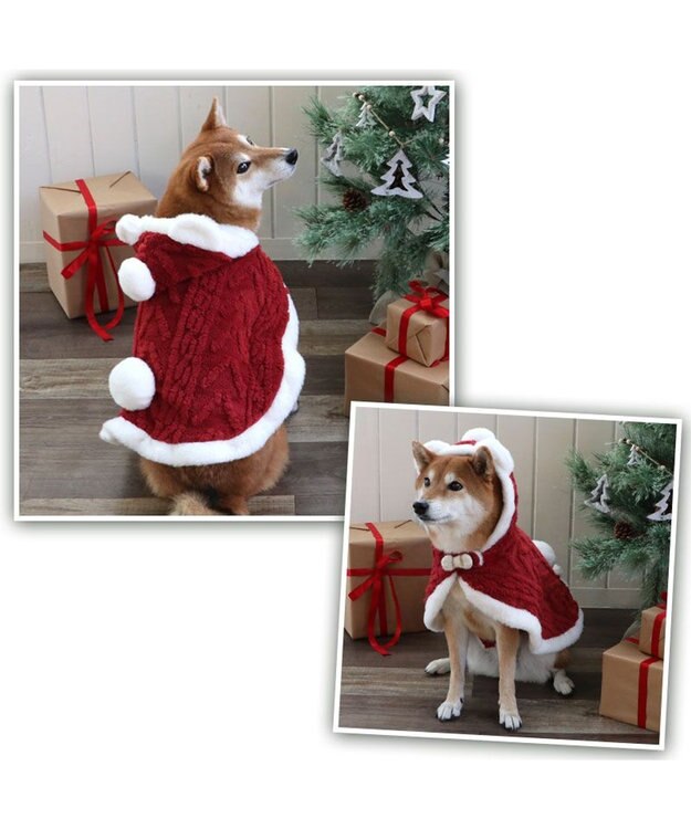 PET PARADISE ペットパラダイス サンタさん くま ポンチョ 中型犬 大型犬 レッド