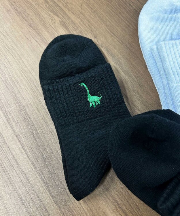 WEGO ダイナソー刺繍アンクルソックス 柄4