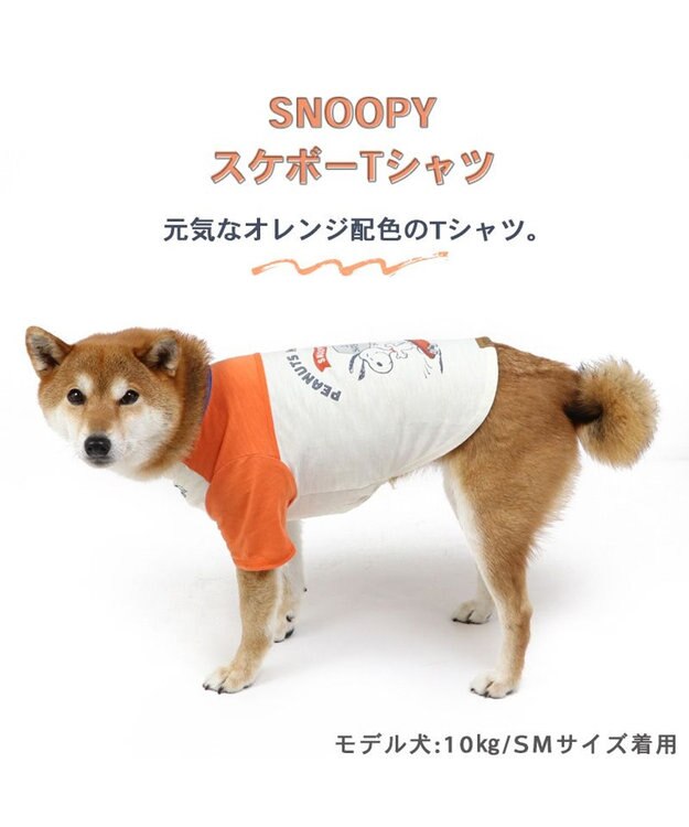 PET PARADISE 犬の服 犬 スヌーピー Ｔシャツ 【中型犬】【大型犬】 スケボー -