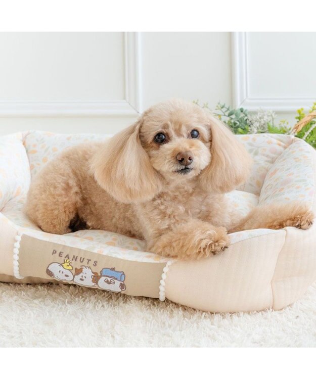 PET PARADISE スヌーピー カドラー Ｍ 《のほほん柄》　 ライトベージュ