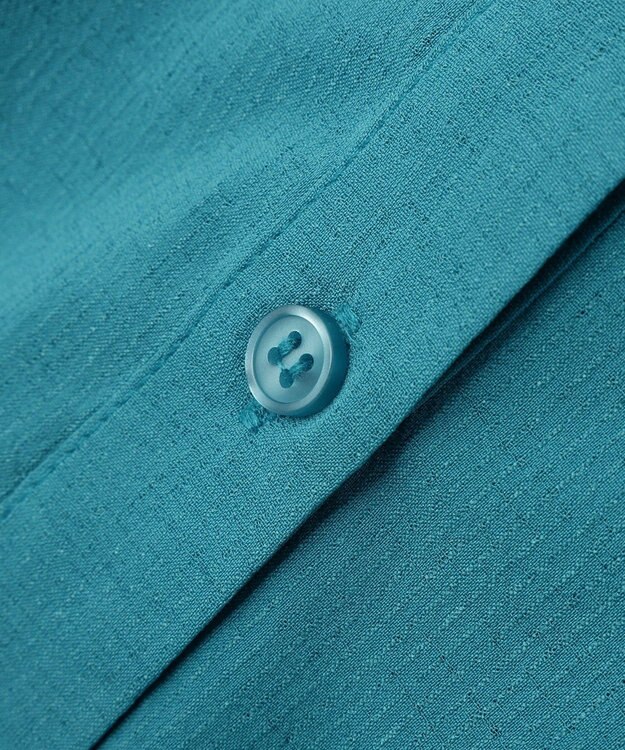 Green Parks 半袖シアースキッパーブラウス Blue