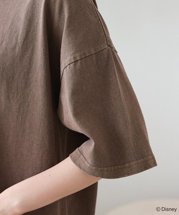 Green Parks スティッチ／ウ゛ィンテージ風ピグメントＴシャツ Brown