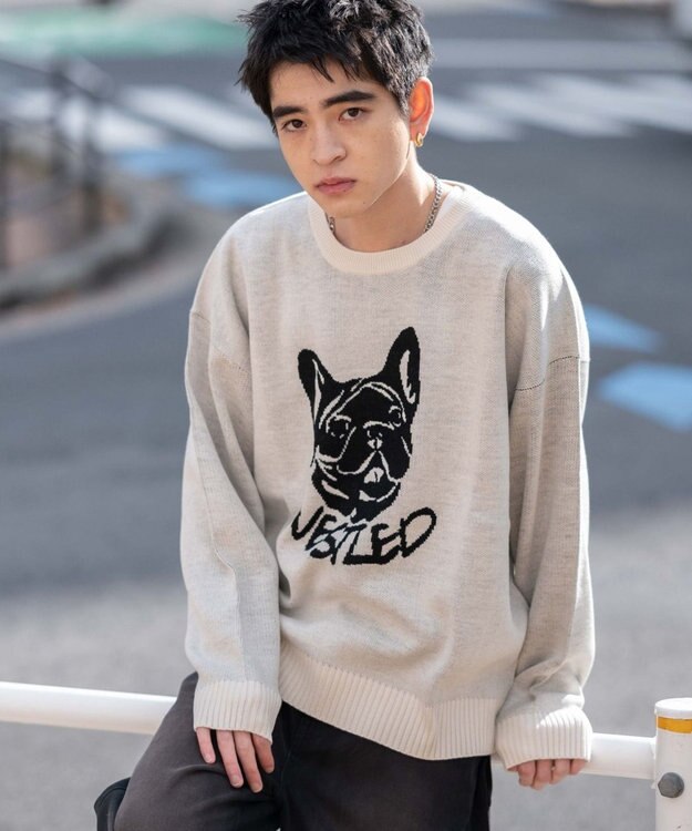 WEGO 【新色追加/ユニセックス着用ITEM/SMLサイズ展開】ジャガードグラフィックプルオーバー（LS） 柄17