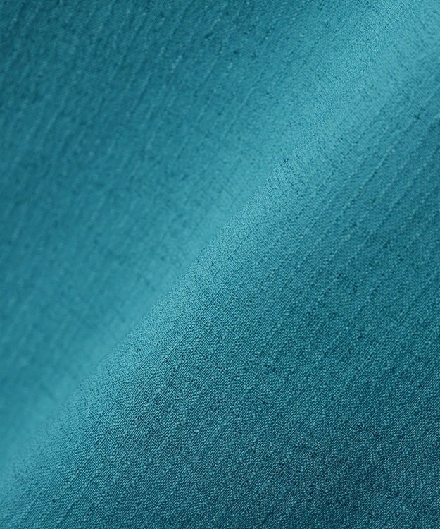 Green Parks 半袖シアースキッパーブラウス Blue