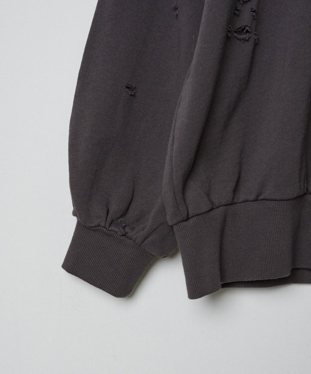 WEGO ダメージスウェット 柄3